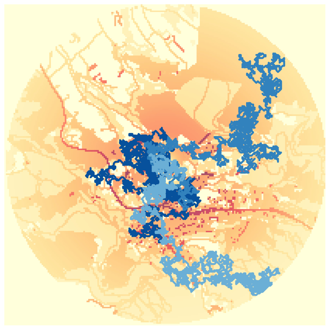 Random Exploration